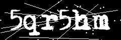 图形验证码