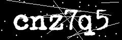 图形验证码